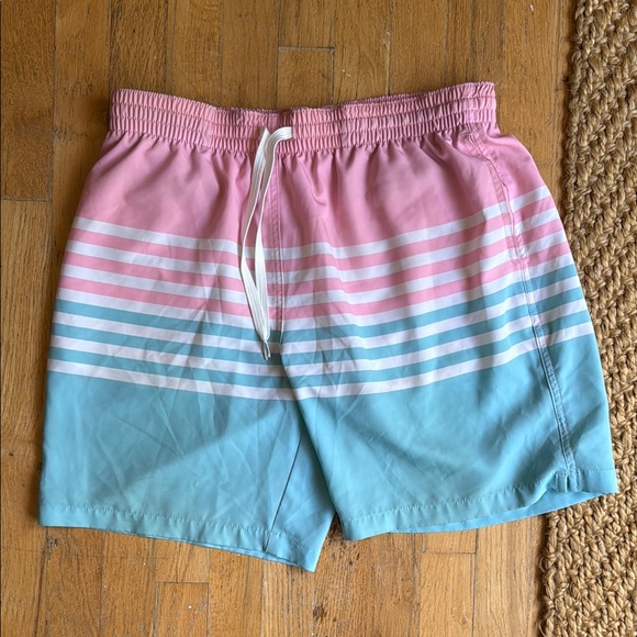 Chubbies Pink and Teal Striped Shorts - Picture 1 of 2